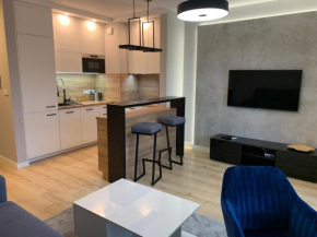 Apartament studio z widokiem na Odrę Bulwary Książęce